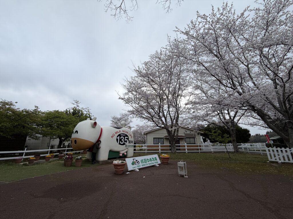 成田ゆめ牧場の入口付近（3月29日）